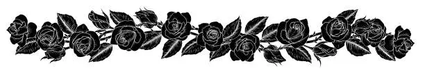 Vector illustration of Roses Rose Flowers Design in Vintage Woodcut Style