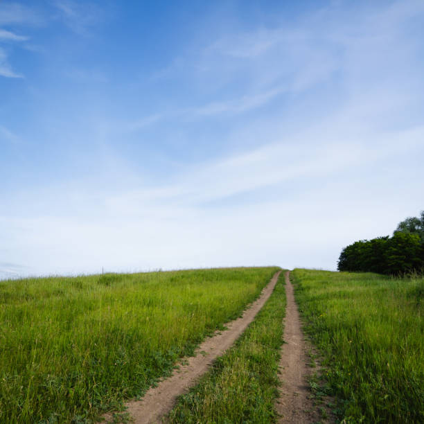 istock Country Dirt Road Through Meadow Field 1645966095