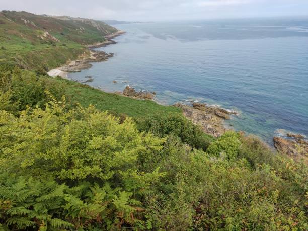 istock between land and sea lush nature 1645966641