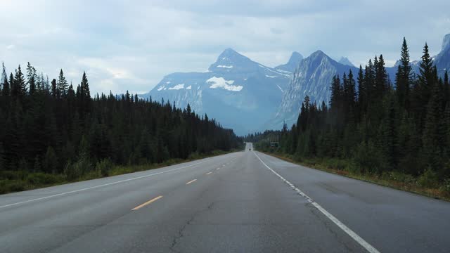 Driving down the icefields parkway in the Rocky Mountains, Alberta, Canada. Road through tall snowcapped mountains and green pine forests.