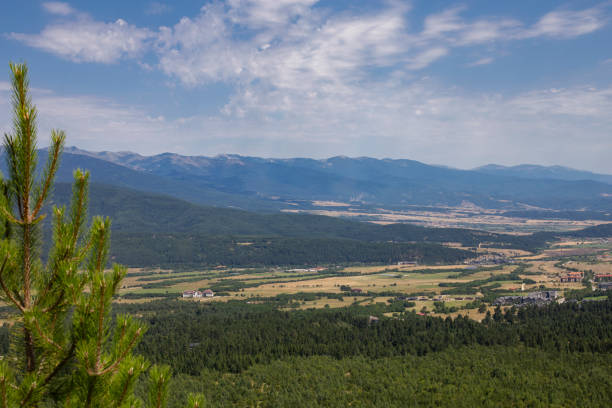 istock Panorama of a valley surrounded by mountains, covered with coniferous forest on a summer day. 1645974311