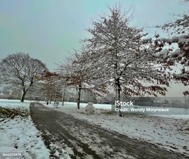 White Snow Parks Stock Photo - Download Image Now - Cold Temperature, Color Image, Environment