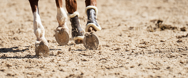 A low angle close-up view of horse’s hooves from behind in mid-air as it jogs.