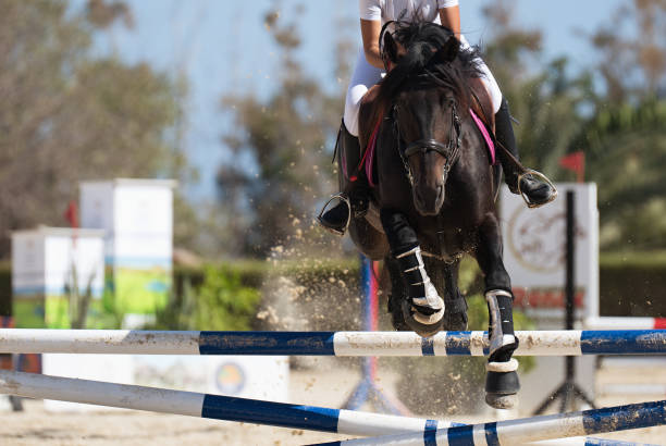 Girl partecipating in a show jumping competition in Norway
