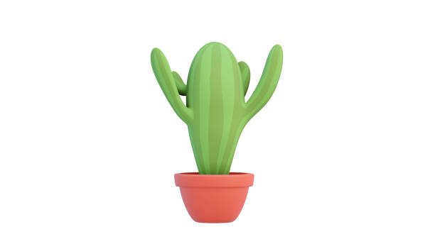 istock cactus in cartoon minimal style with white background and clipping path. It is a plant that lives in the western desert. The concept of lover cactus. 3D illustration rendering. 1646026401