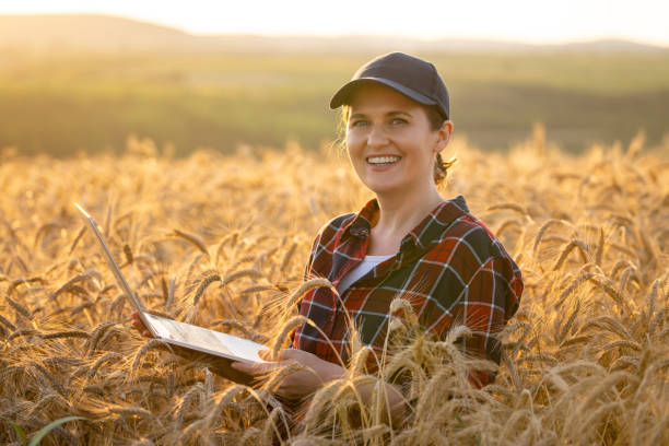 istock Woman farmer working with laptop on wheat field. 1646071340