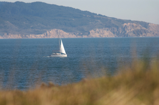 Sailboat sails near Northern California coast with grass in the foreground