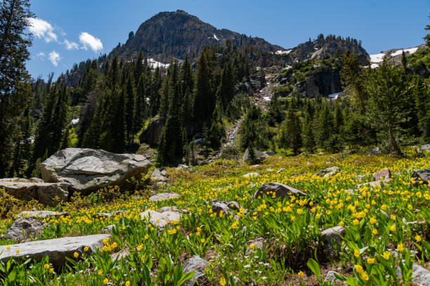 istock Teton Crest Trail views of Mountains 1646095121
