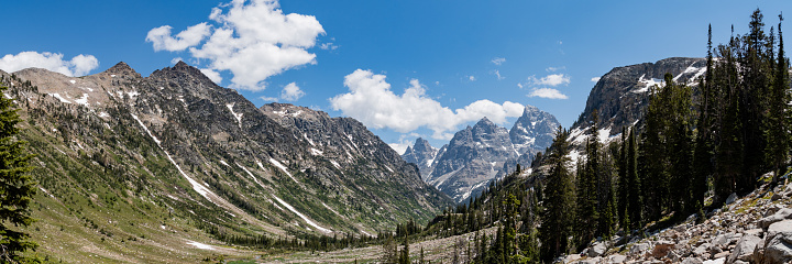 The views while hiking the Cascade Canyon of hte Teton Crest Trail in July, with trees, wildflowers, blue skies and snowcapped mountains.