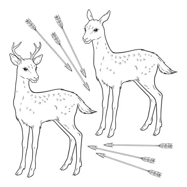 Vector illustration of Deers or fawns magic animals set hand drawn line art gothic tattoo design isolated vector illustration