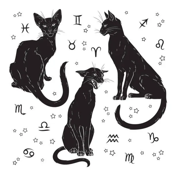 Vector illustration of Black cats witch familiar spirit set halloween or pagan witchcraft theme print design vector illustration