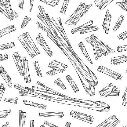 Lemongrass seamless pattern design with sprouts of plant, monochrome engraving or sketch style vector illustration on white background. Lemongrass pattern texture.