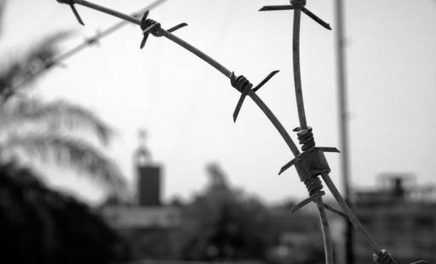 old rusty security barbed wire fence on blue sky - iraq conflict imagens e fotografias de stock