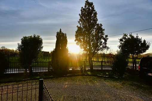 sunset in park, photo as a background, digital image