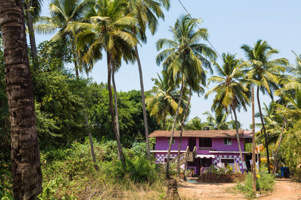 istock Scenery on the way to Benaulim Beach in Goa, India 1646160833