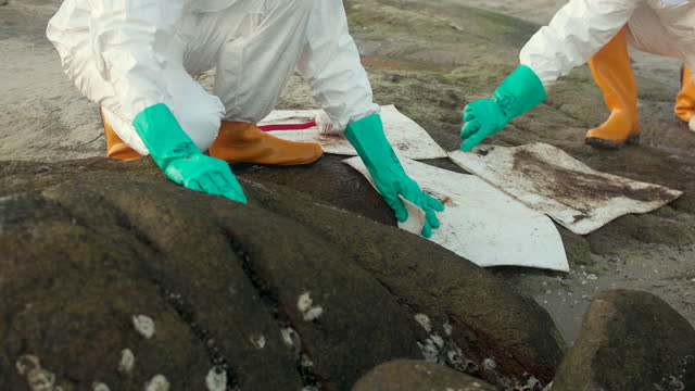 Cleaning Oil Spill On Rock on The Beach