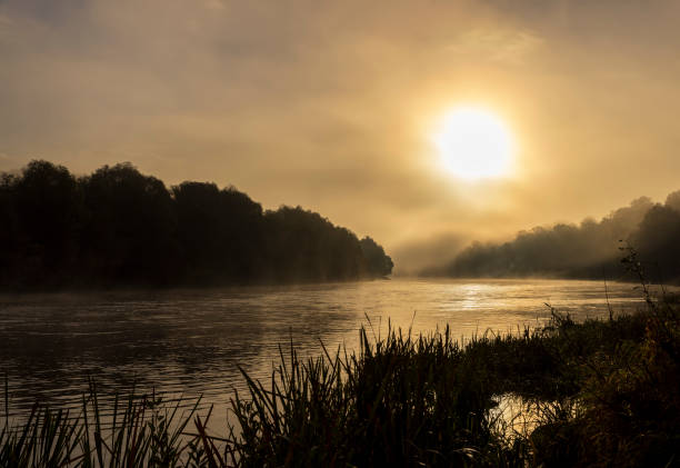 Small fog on the river in autumn, river and fog along the autumn forest