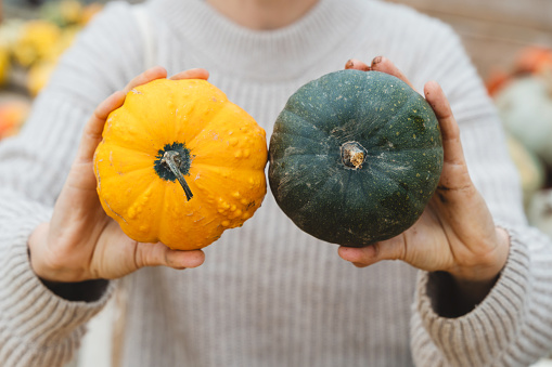 An arrangement of colorful squash and gourds at a roadside farm stand on Cape Cod.