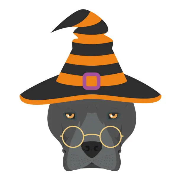 Vector illustration of Halloween greeting card. American Staffordshire Terrier dog dressed as a witch with glasses and black and orange hat