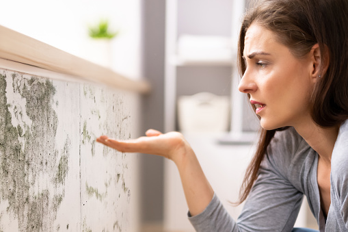 Side View Of A Shocked Young  Woman Looking At Mold On Wall