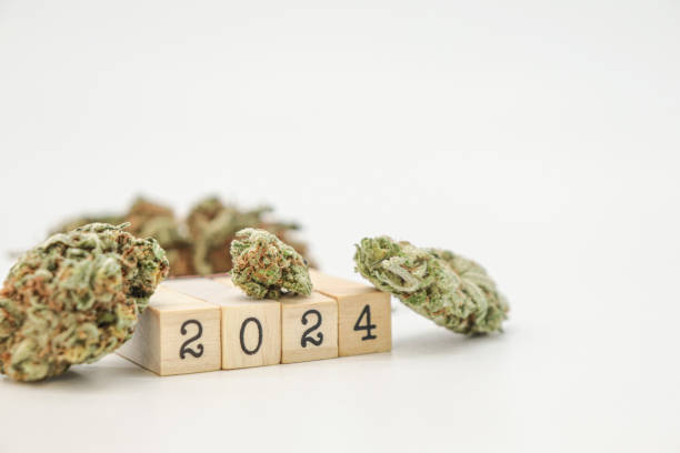 istock 2024 on cubes with marijuana buds 1646217711