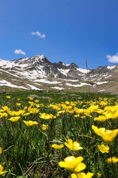 istock Artabel Lakes Nature Park 1646220989