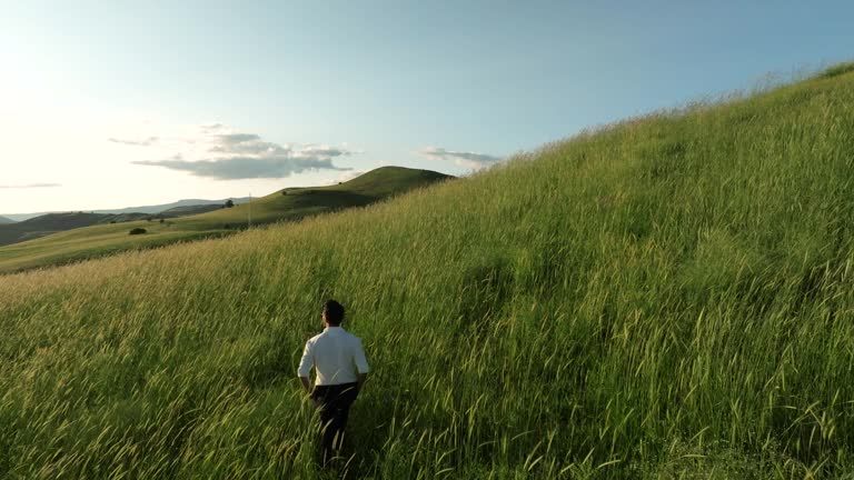 View from behind of a businessman standing in nature under evening sky
