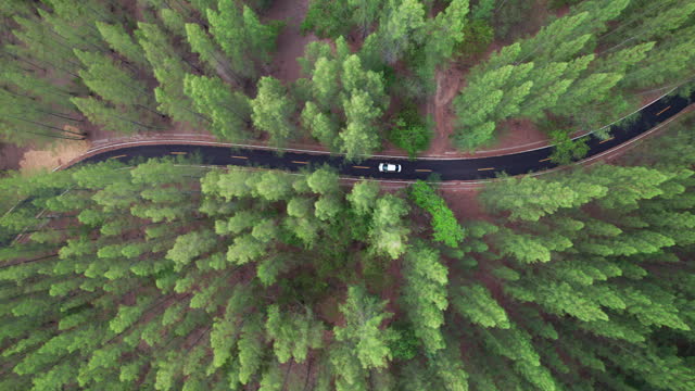 Aerial view of a car driving on a country road in a forest in the evening at twilight. Cinematic drone shot flying over gravel road in pine tree forest