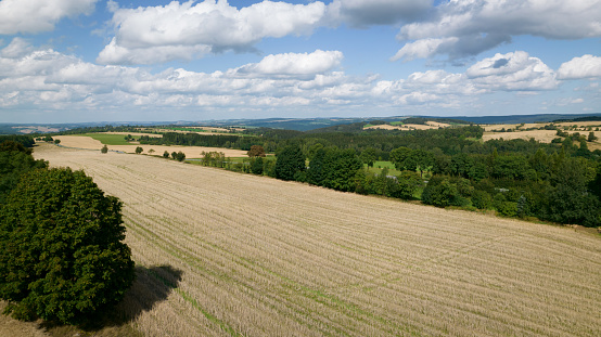In this picture you can see a beautiful harvesting field with a few saplings around.