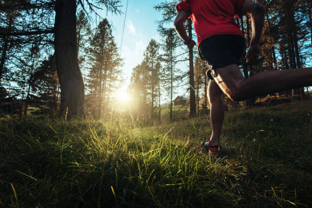 istock Man trail running in a mountain forest 1646230786