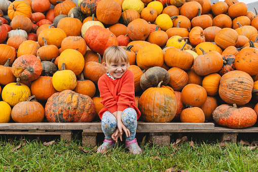 Smiling little girl among big pile of pumpkin harvest at farm market. Thanksgiving holiday season and Halloween. Family prepare for autumn holidays. Variety of orange pumpkins for sale.
