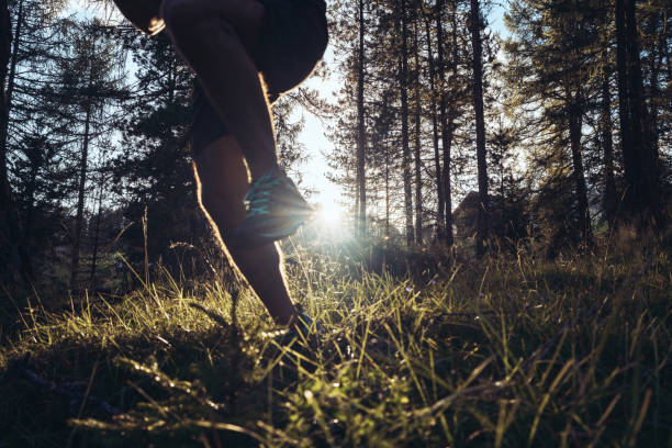 istock Man trail running in a mountain forest 1646238082