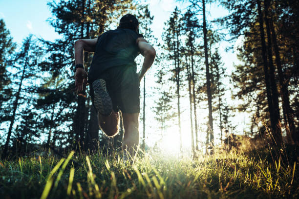 istock Man trail running in a mountain forest 1646240083