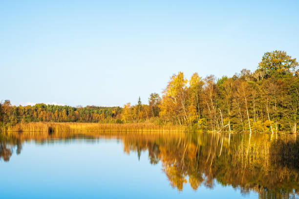 istock calm water surface by a lake with autumn colors 1646240648