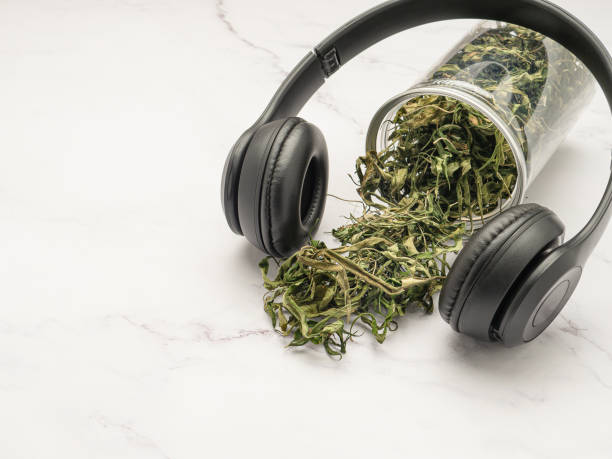 fones de ouvido e chá seco de folha de cannabis fora de uma caixa em um fundo de mármore. - dry leaves audio - fotografias e filmes do acervo
