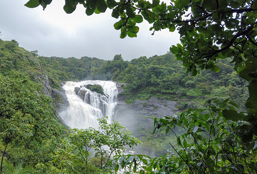 Coorg, Karnataka, India-July 19 2023; A Charming Waterfall named Malalli flows gracefully in the idyllic locales of Coorg hill station in Karnataka, India.