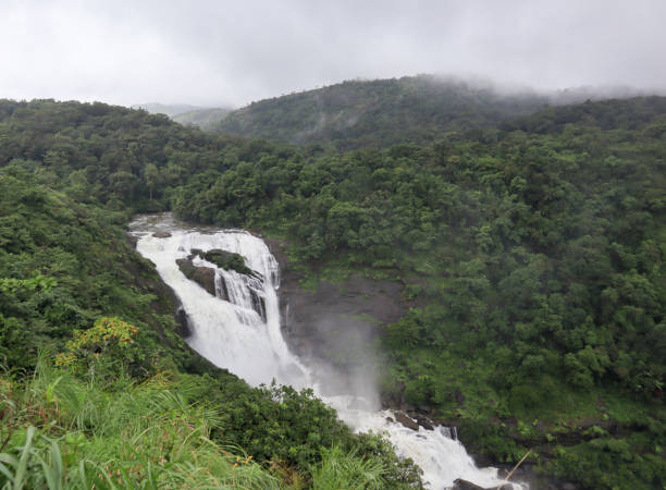 Coorg, Karnataka, India-July 19 2023; A Bewitching Mallalli Waterfall flows majestically in the rain forests of the Coorg hill station in Karnataka,India.