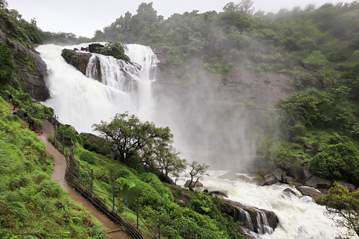 Coorg, Karnataka, India-July 19 2023; A Bewitching Mallalli Waterfall flows majestically in the rain forests of the Coorg hill station in Karnataka,India.