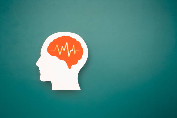 istock A brain shape made from paper on a green background 1646253751