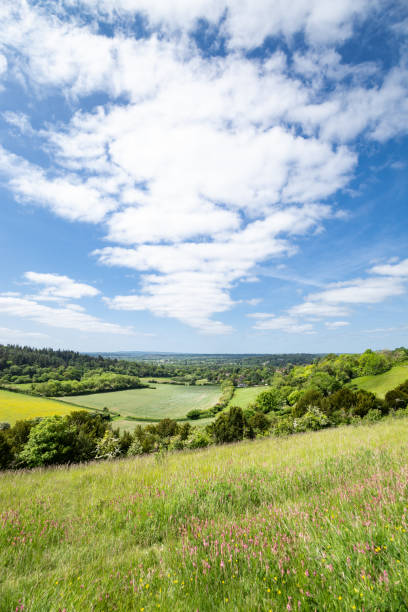 pewley down guildford surrey anglia - surrey hill guildford cloudscape zdjęcia i obrazy z banku zdjęć