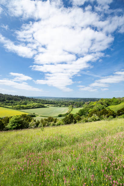 pewley down guildford surrey anglia - surrey hill guildford cloudscape zdjęcia i obrazy z banku zdjęć