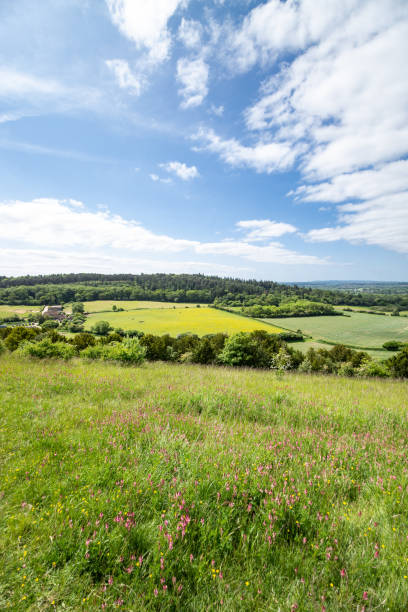 pewley down guildford surrey anglia - surrey hill guildford cloudscape zdjęcia i obrazy z banku zdjęć