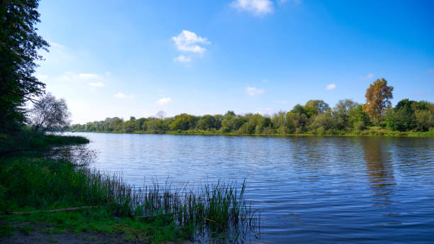 istock River landscape with trees and blue sky 1646280594