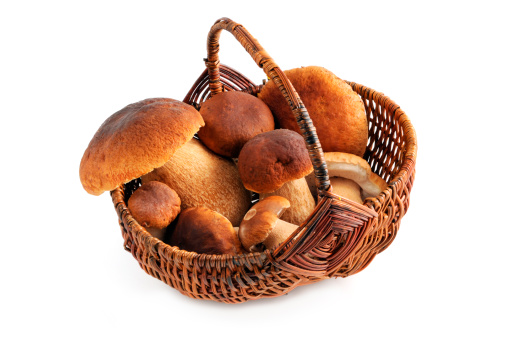 Steinpilz (boletus edulis) - porcini mushroom in a basket