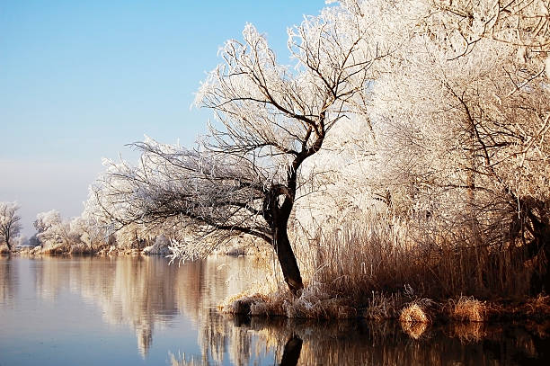 istock winter landscape at Havel River (Germany) 164628981