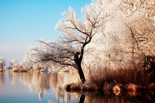 winter landscape at Havel River (Germany)