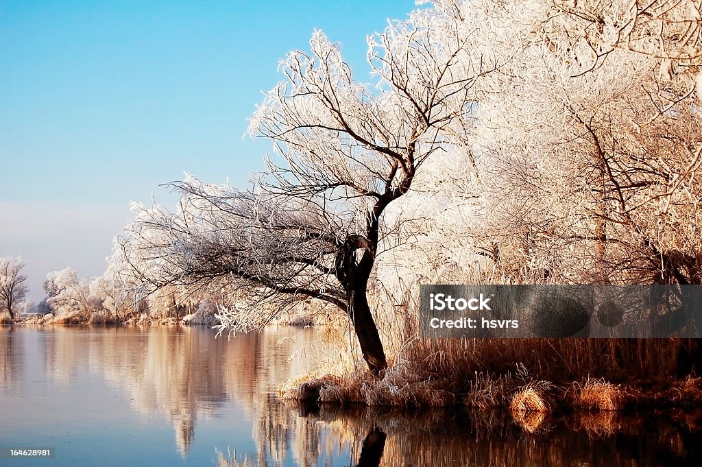 Paisagem do inverno com Rio Havel (Alemanha) - Royalty-free Alemanha Foto de stock