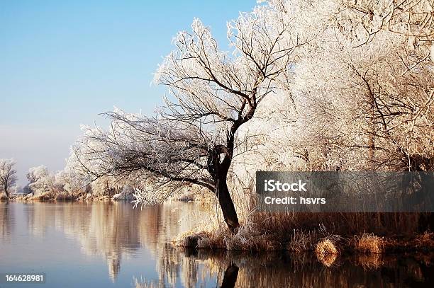 Paisagem Do Inverno Com Rio Havel - Fotografias de stock e mais imagens de Alemanha - Alemanha, Ao Ar Livre, Brandemburgo