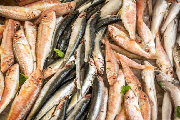 istock Sardines at the fish market 1646293301