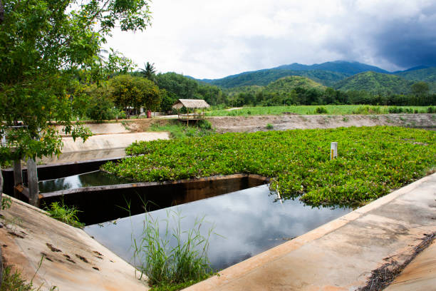 View landscape mountain and panoramic nature background of Pang Sawan weir or dike block water and check dam overflow spillway for thai people traveler travel visit at Ban Rai in Uthai Thani, Thailand vea el paisaje, la montaña y el fondo panorámico de la naturaleza de la presa de pang sawan o el dique bloquean el agua y verifique el aliviadero de desbordamiento de la presa para los tailandeses visita de viaje del viajero en ban rai en uthai thani, ta